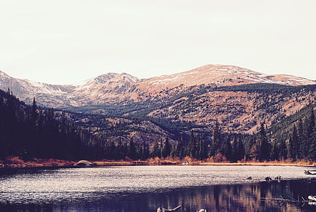 søen, omgivet, træer, førende, Mountain, Foto, vand