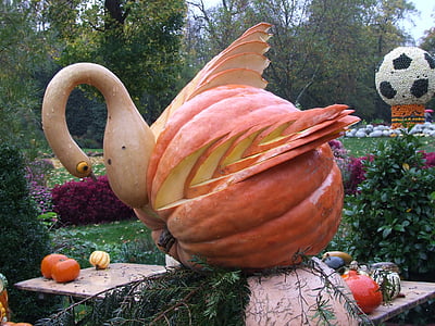pumpkin art, swan from pumpkin, blühendes baroque, ludwigsburg germany
