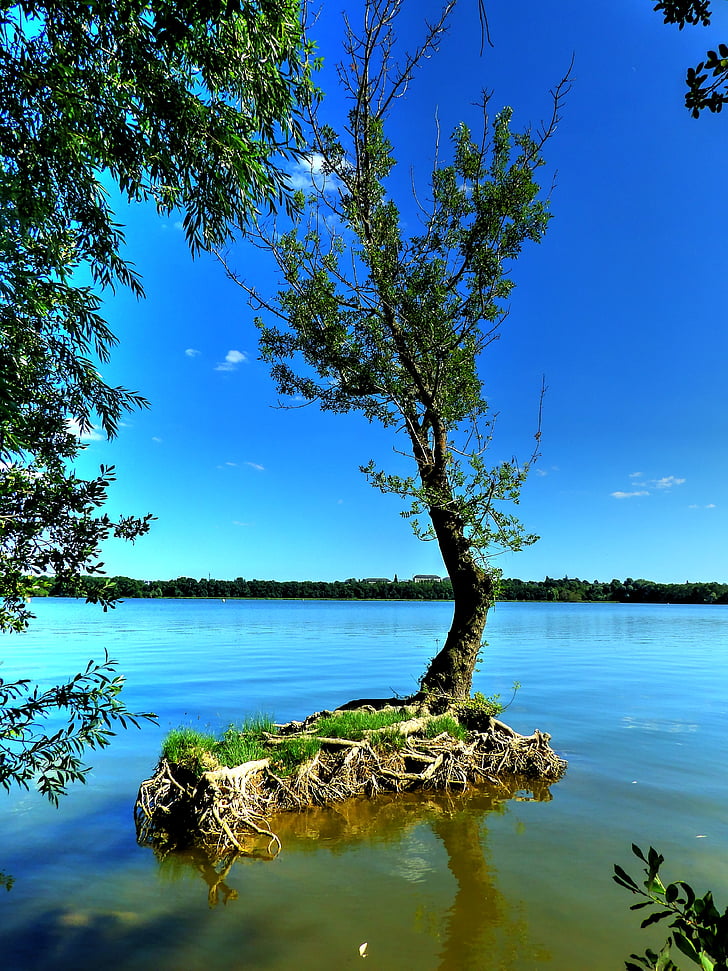 lake, trees, landscape, water, france, summer, reflections