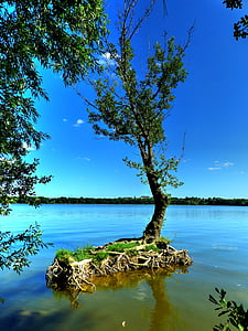 Jezioro, drzewa, krajobraz, wody, Francja, Latem, refleksje