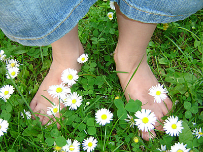 daisy, children's feet, meadow, spring, barefoot, feet