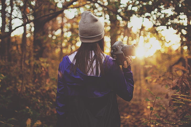 camera, forest, macro, person, photographer, photography, trees