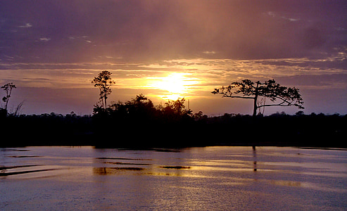 Gayana, il fiume demerara, fiume di Demerara, Jungle, fiume, Alba, paesaggio