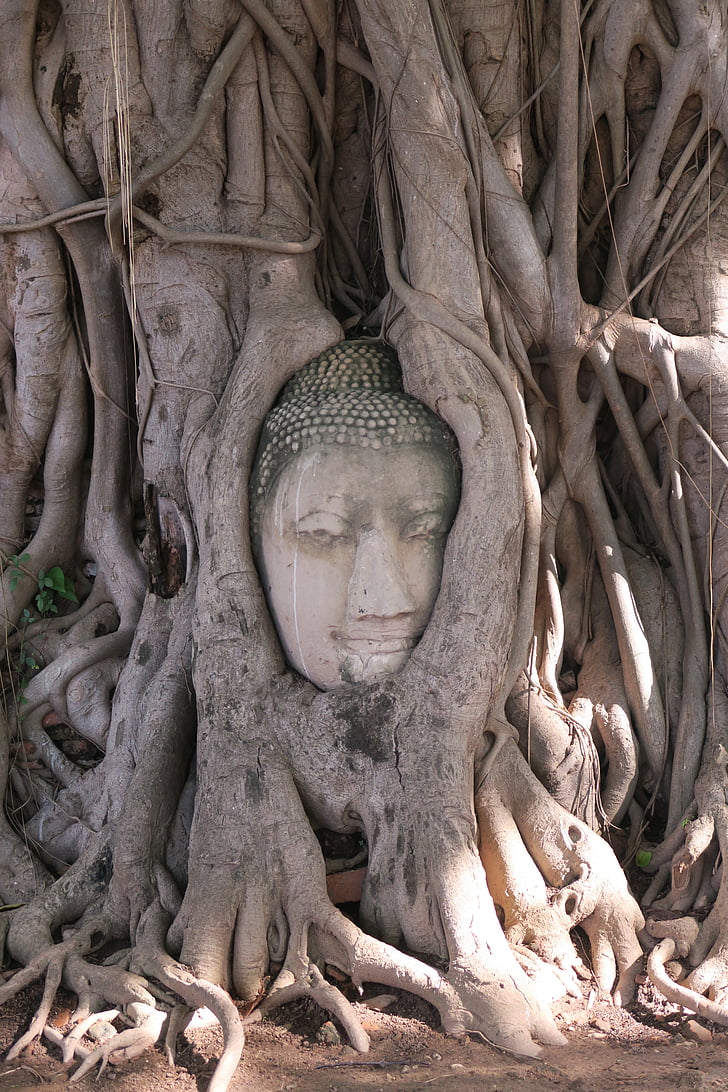 Ayutthaya, Thaiföld, Buddha, ROM