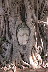 Ayutthaya, Thajsko, Buddha, zrúcanina