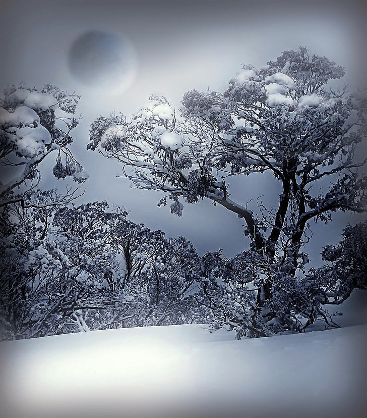 hiver, blanc, bleu, neige, nature, froide, paysage d’hiver