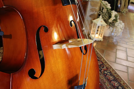 低音提琴, 乐器, 建筑, 音乐会, 音乐, 乐器, 字符串