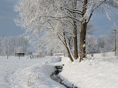 inverno, Bach, invernale, neve, freddo, nevoso, acqua corrente