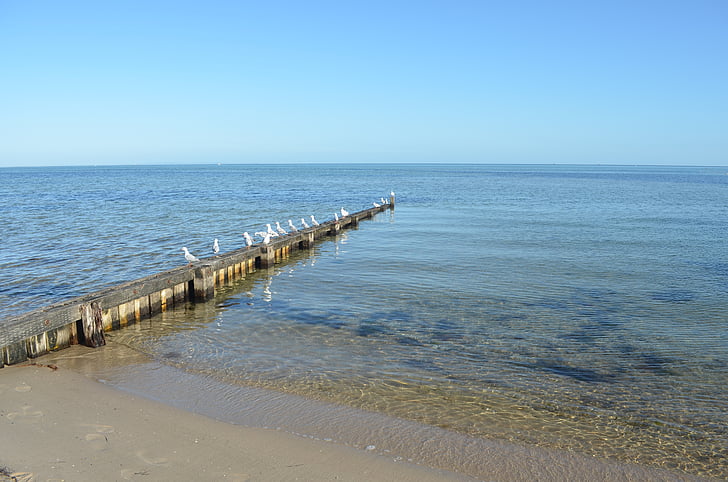 beach, calm, bay, outdoors, peaceful, sand, shore