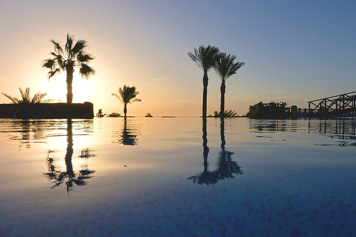 palm trees, pool, holiday, hotel, mood, swimming pool, sky