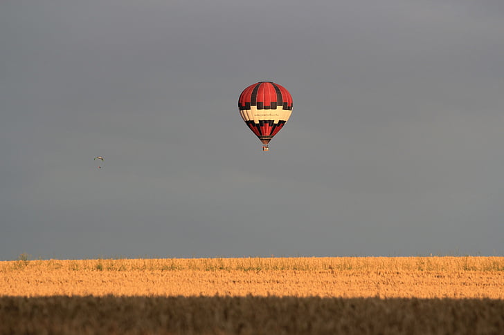 voar de balão, céu, contraste, campo, sombra