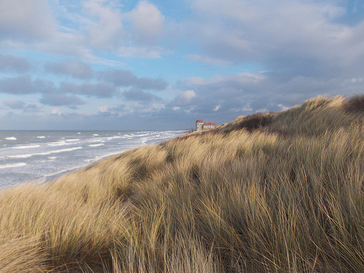 dunas, foredune, oyats, praia, Bray-dunes, comerciante de Duna, vento