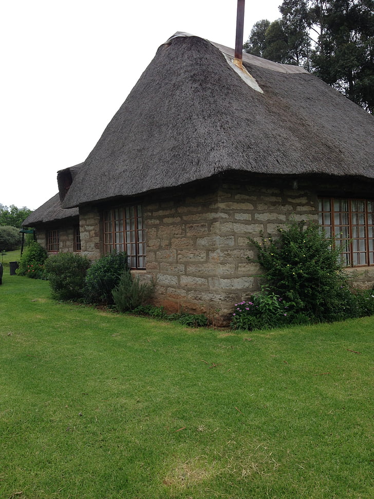 thatching, thatched house, house, nature, green