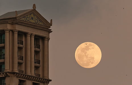 Луна, здание, Вечер, Найтски, Архитектура, Лунный свет, Полная Луна