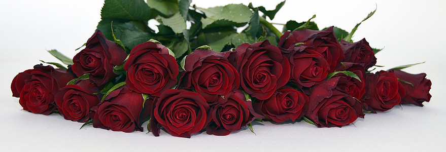 roses, bouquet of roses, bouquet, strauss, flowers, romance, red