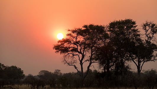 Západ slunce, Botswana, záběry přírody, Afterglow, Afrika, strom, Příroda