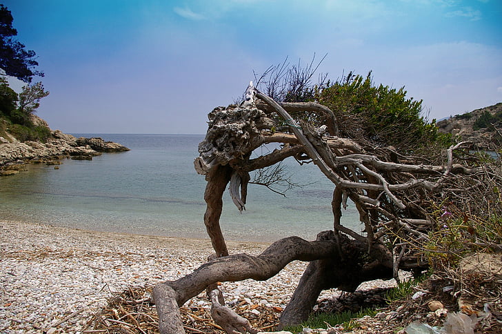 Samos, île, Grèce, mer, plage, eau, pierres