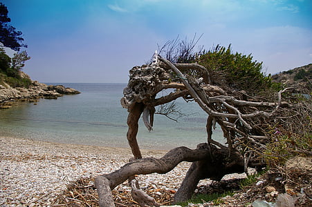 samos, island, greece, sea, beach, water, stones