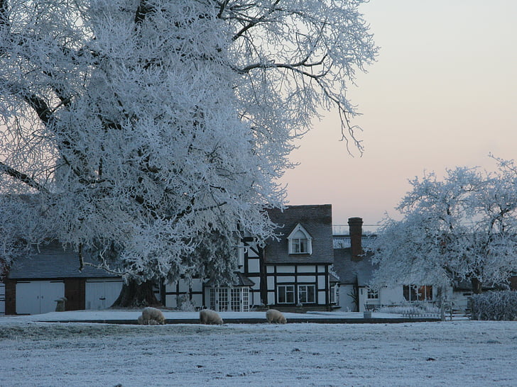 vidéken, angol house, Claverdon, történelmi, fa, brit