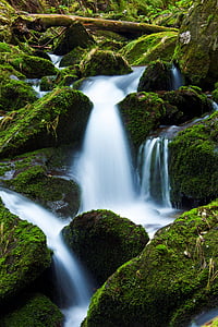 creek, falls, flow, flowing, forest, green, landscape