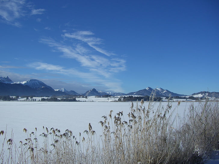 lake, winter, ice, reed, mountain panorama, frozen, sky