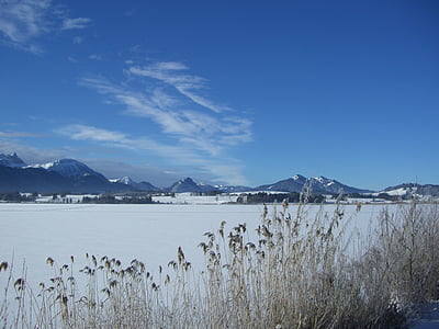 ežeras, žiemą, ledo, nendrių, kalnų panoramos, Šaldyti, dangus