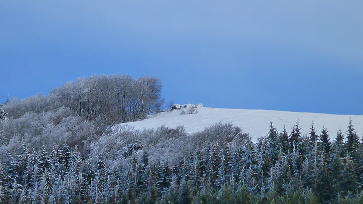 winterlandschap, natuur, berg, sneeuw, besneeuwde, bos, Frankrijk