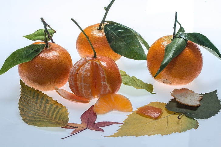 natura statica, Tangerine, produse alimentare, sunet, frunze