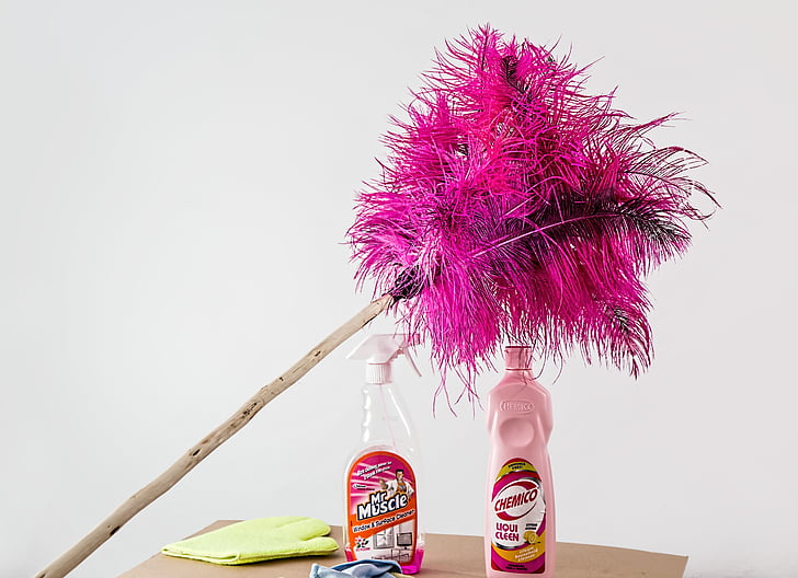 feather duster, cleaning, housework, cleaner, domestic chores, housekeeping, spray