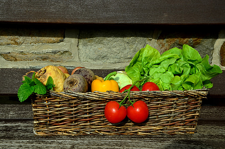 rau quả, cà chua, Salad, Giỏ rau, Sân vườn, thu hoạch, Frisch