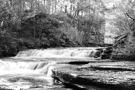 Creek, svart hvitt, Alabama, naturskjønne, natur, landskapet, natur