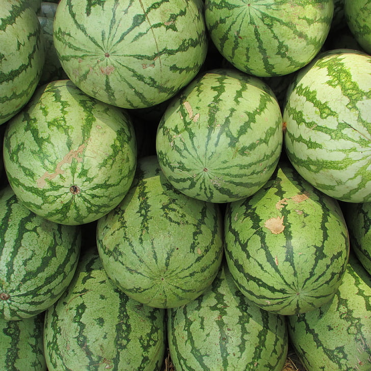 vattenmelon, Melon, Citrullus lanatus, röd, frukt, sommar, saftiga