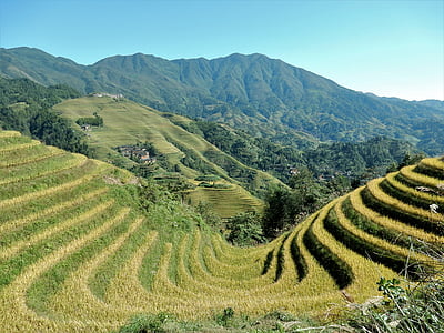 Longji, risterrasser, risfält, naturen, bergen, landskap, Kina