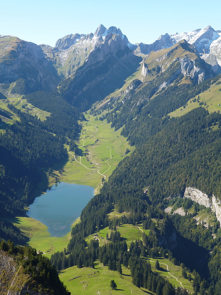 alpstein, muntanyes, tardor, paisatge, Llac, bosc