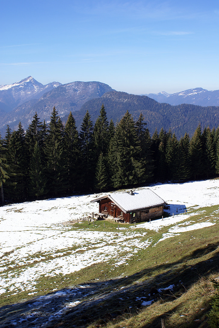 horské chaty, Predigtstuhl, alpské, sníh, hory, Les