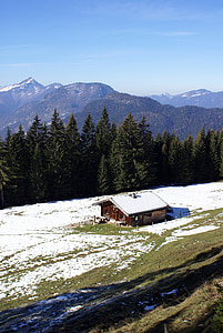 산 오두막, predigtstuhl, 알파인, 눈, 산, 숲