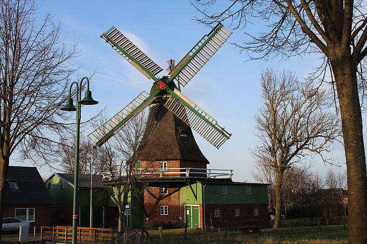 Windmühle, Mühle, Gott mit uns, Eddelak, holländische Windmühle, Dithmarschen