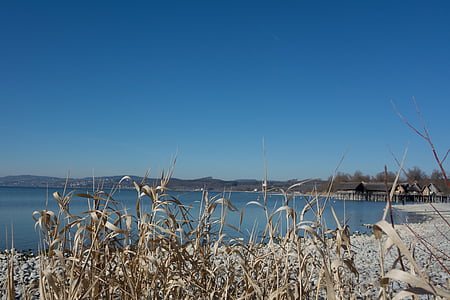 Lago de Constança, água, praia, Reed, natureza, azul, céu