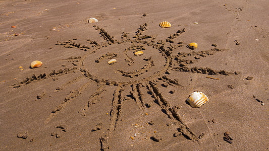 solen, grafik, Sand, snäckor, stranden, inga människor, dag