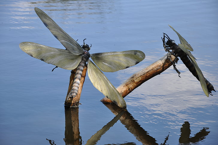 insects, lake, artificial insects, dinosaurs