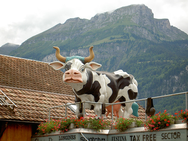 lehmä, veistos, Sveitsi, Brienz