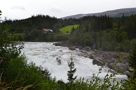cascada, Noruega, vefsna, montañas, bosque, campos, aldea