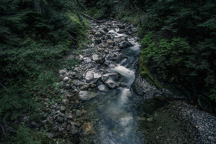nature, creek, stream, stones, waterfall, blurred motion, scenics