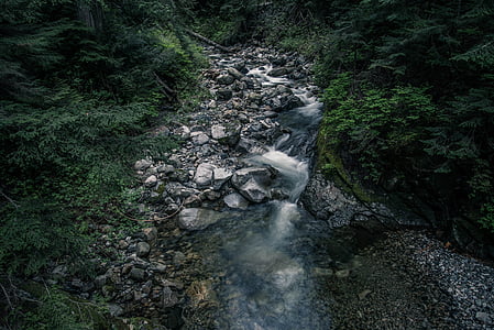 naturen, Creek, Stream, stenar, vattenfall, suddig rörelse, Scenics