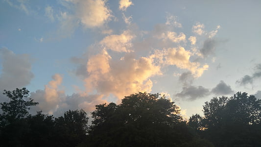 chmury, niebo, drzewa, jasne, różowe chmury