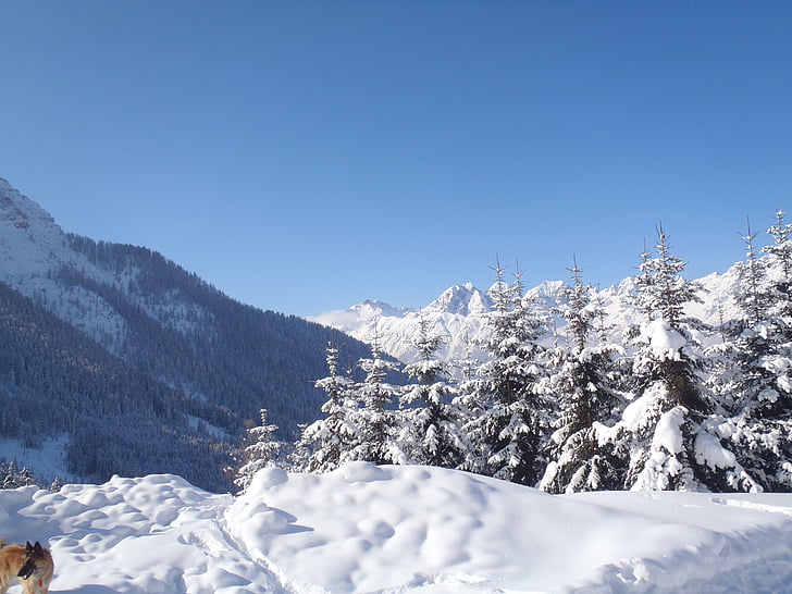 paisatge, neu, natura, paisatge d'hivern, cobert de neu, muntanyes