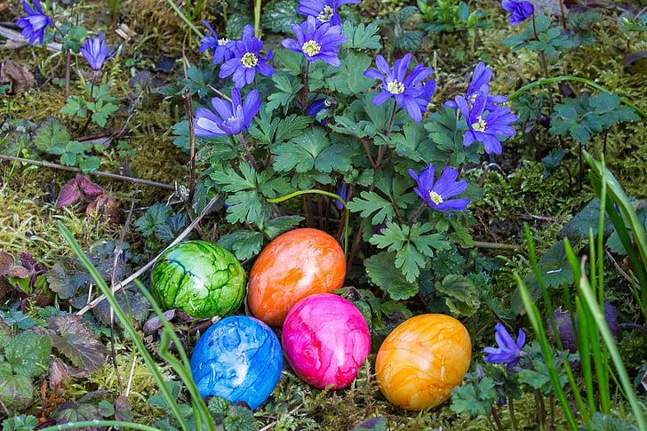 Velikonočni, velikonočna jajca, jajce, Velikonočni gnezdo, pomlad