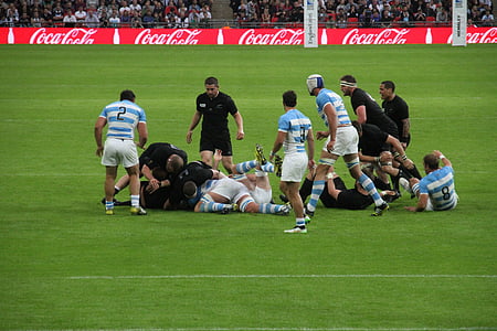 rugby à XV, joueurs, monde, Coupe, stade, sport, Wembley