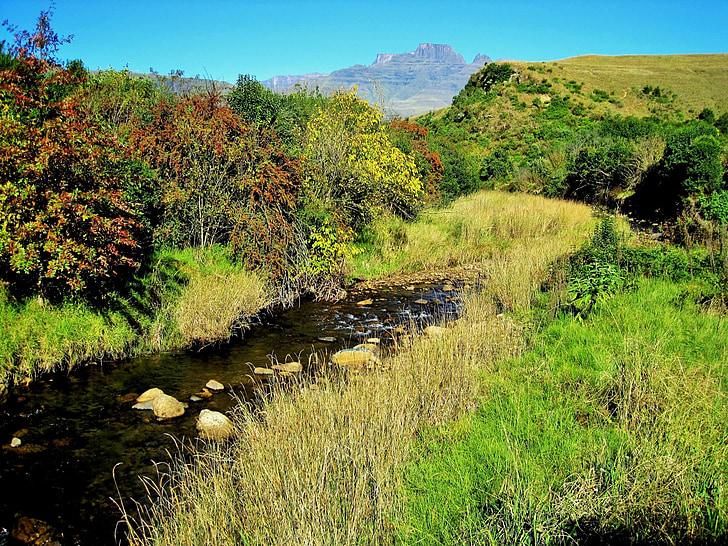 mountains, river, stream, grass, trees, nature