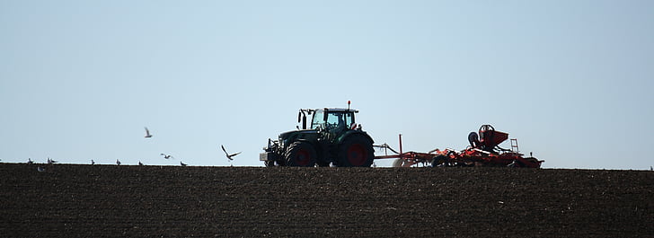 traktor, landbrug, Mark